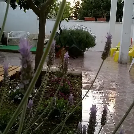 Frühstückspension Fenice Barocca *